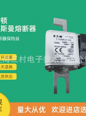 原装快速熔断器保险丝170M3116 170M3117 170M3118 170M3119