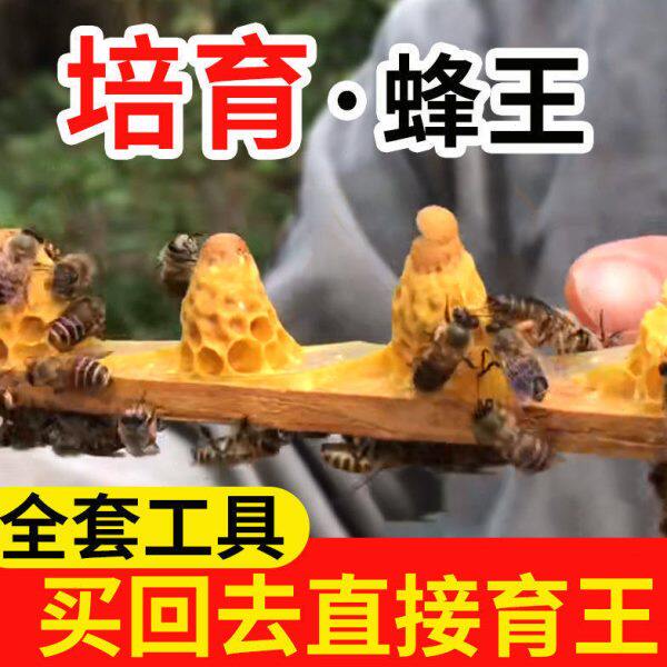 育王工具全套培育蜂王王台专用组合人工育王框保护罩中蜂蜜蜂用具