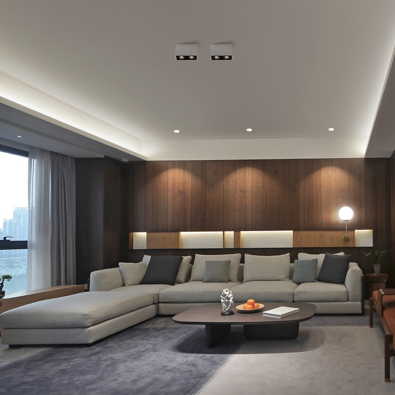 led明装射灯吸顶式斗胆灯客厅无主灯照明长方形双头筒灯盒仔灯