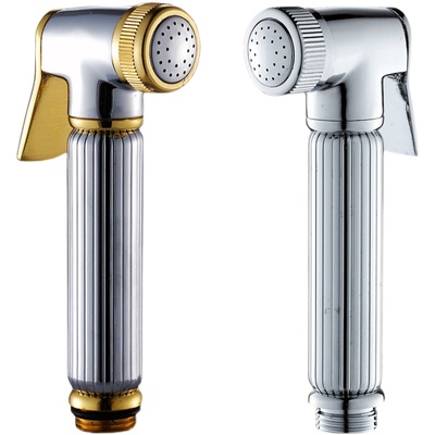 全铜花洒喷头手持喷枪水枪增压马桶伴侣家用淋雨淋喷头带开关套装