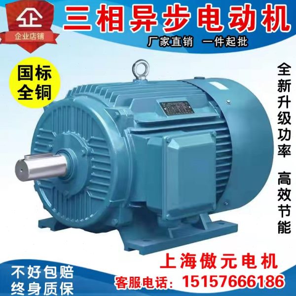 三相异步电动机YE2系列电机全新铜国标Y100L2-4极3KW千瓦马达380v