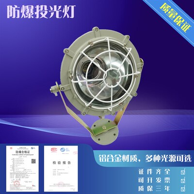 【皇冠信誉】防爆投光灯/BTD-400 (圆形) 防爆灯 防爆射灯