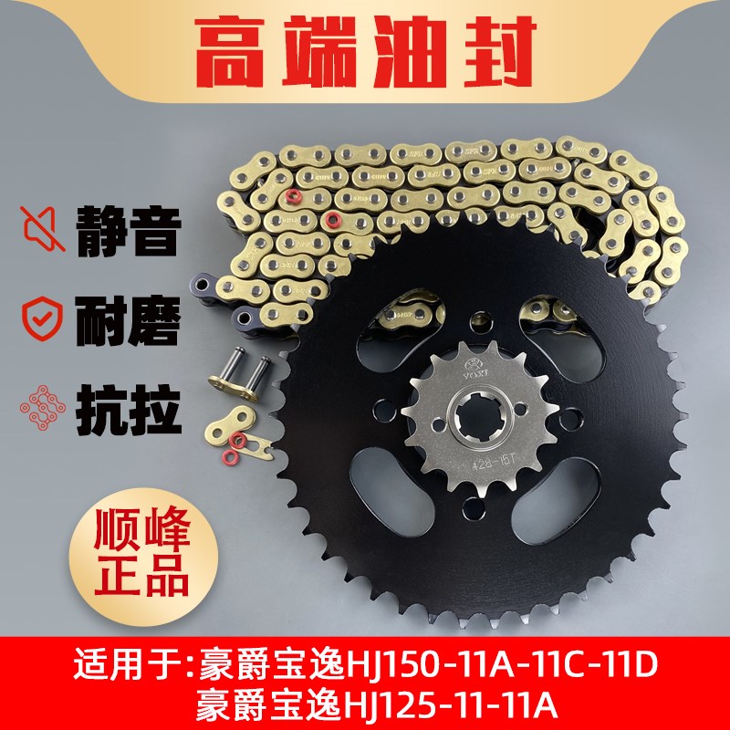 适用豪爵宝逸HJ150-11A-11C-11D-HJ125-11-11A齿轮牙盘链盘链条