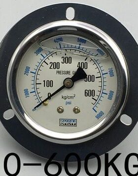轴向带边耐震压力表YN-60ZT 100Kg 150kg 250kg 350kg 400k 600kg