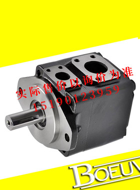 丹尼逊DENISON系列T7B/T7BS-B02/B03/B04/B05/B06-1R00-A1M