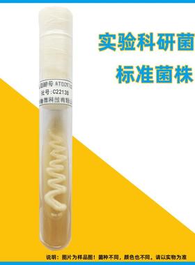 二代斜面菌种定制ATCC菌株CMCC实验检测冻干粉微生物质控标准菌株