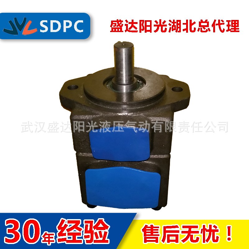 浙江 广东 PVD3-66 PVD3-76 电动叶片泵 低噪音 高性能 质保一年