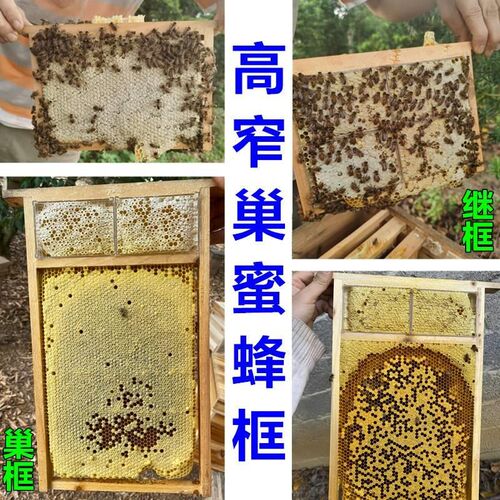 新型半成品散装中蜂蜜蜂组合子蜜分离高窄巢框 交尾箱浅继箱巢框