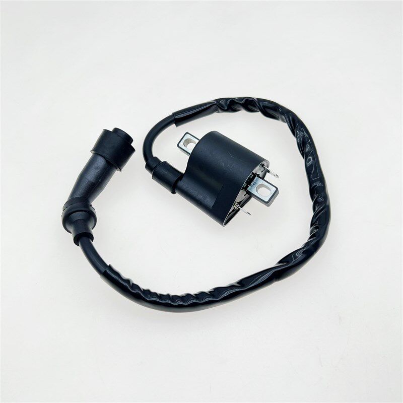 适用于龙佳Lj300 Vmaxie300维多利亚150 Xdv250Si高压封装点火线