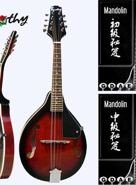 Timothy真可爱中级M100高音送学琴全套八弦曼陀林乐器曼陀铃琴