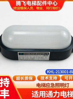 通用电梯轿厢顶井道照明灯SALF-DZ12W/D DZ8W/D电压220V