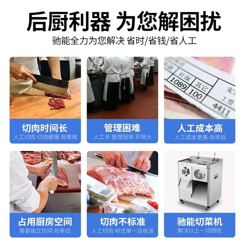 驰能商用切肉机多功能大型绞肉一体机切片切丝切丁厨房食堂切肉机