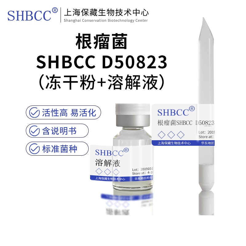根瘤菌SHBCC D5082s3非模式菌株豆汁合成培养基28培养活化冻干