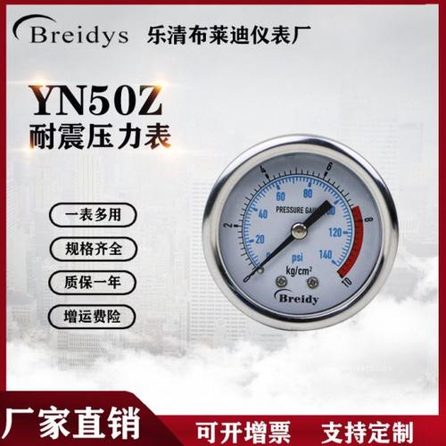 压力表YN50Z轴向耐震不锈钢压力表0-1.6mpa水压气压洗车机表25mpa