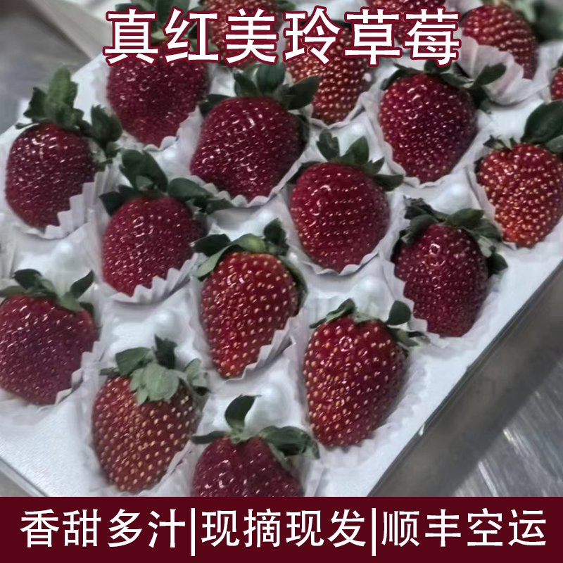 黑珍珠草莓新鲜水果真红美玲黑美人草莓当季现摘现发整箱顺丰包邮