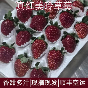 黑珍珠草莓新鲜水果真红美玲黑美人草莓当季现摘现发整箱顺丰包邮
