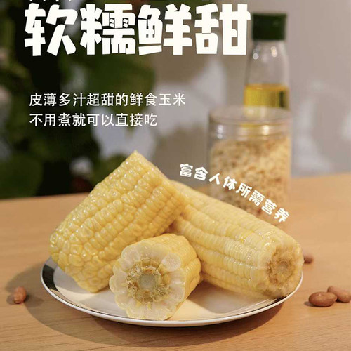 云南燕窝雪糯玉米开袋即食真空包装甜糯玉米苞米棒子整箱包邮