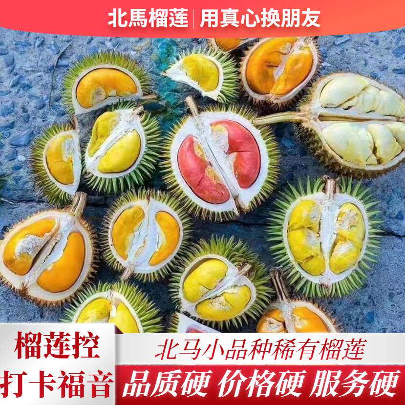 北马小品种榴莲肉冷冻江海榴葫芦榴莲红虾榴莲金凤榴莲猫山王榴莲