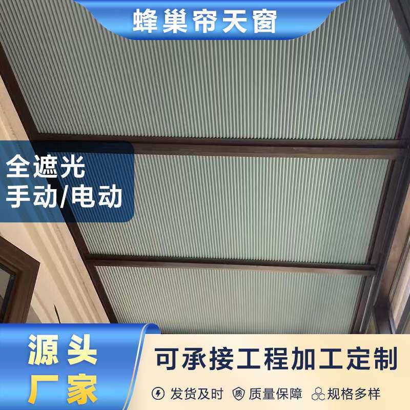 阳光房蜂巢帘天窗遮阳隔热防晒蜂窝帘电动遮阳天棚帘风琴帘厂家