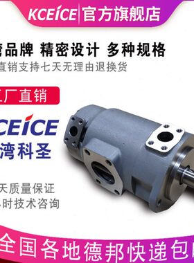 F11-SQP21-12-14-15-17-19-21-5-6-7-8-9-10-11-1AA-1DC-18叶片泵