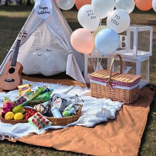 户外露营野餐布春游垫子野餐垫加厚生日装饰拍照氛围布置沙滩盖布