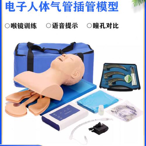 泰贵医学TG/J5S电子人体气管插管模型与喉镜训练模具成人口鼻腔气