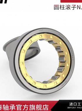 轴承NJ2205 2206 2207 2208 2209 2210 2211 2212 2213 2214EM