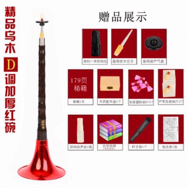 达晖侠唢呐D调d调唢呐初学者唢呐乐器全套喇叭精品D调红碗++包+竖
