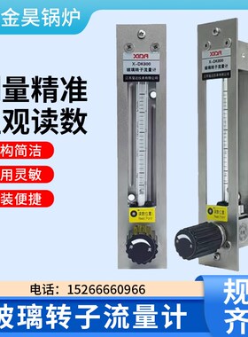 常州双环玻璃转子流量计DK800-6/6F面板式 空气 液体 防腐流量计