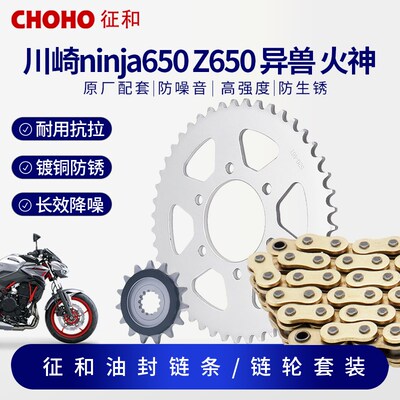 适用川崎Z650 异兽 火神ninja忍者650摩托征和油封链条牙盘三件套