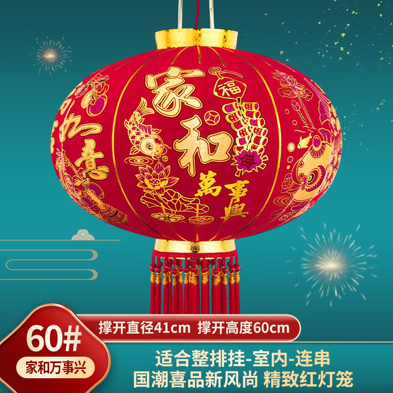 2025款大红灯笼过年春节免w插电灯笼阳台大门院子户外挂件家用灯