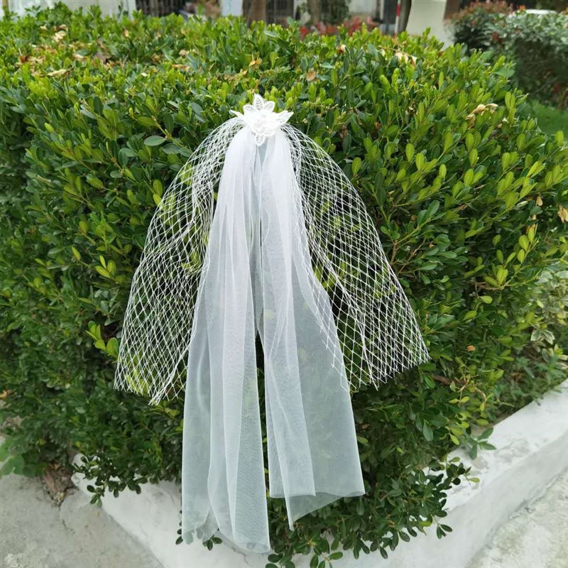 2020b新款wang格头纱头饰新娘女短款结婚超仙气质网纱婚纱造型配