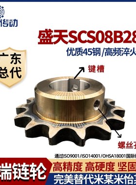 盛天SCS链轮45钢淬火加工成品 4分08B28齿 高精度耐磨损 申马传动