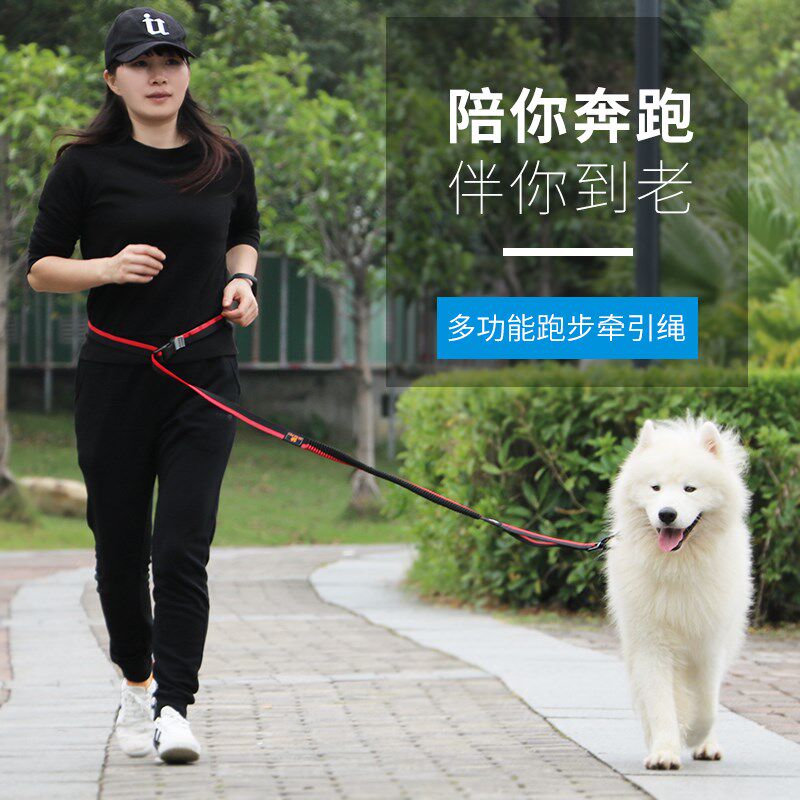 DODOPET围腰牵引绳 中小型犬运动跑步防爆冲伸缩绳户外溜狗牵引绳