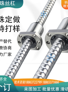 C-BSSH1205 1210 1505 1510 1520 2005 2010 2020 2505滚珠丝杠