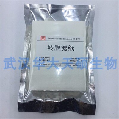 Servicebio厚转膜滤纸 薄50片7x9cmWB试验转膜时制作三明治结