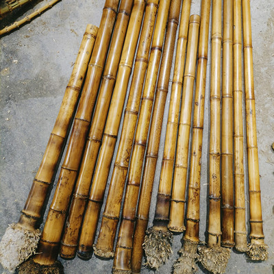 箫料箫材易裂石竹桂竹笛箫尺八料干料南萧南箫洞箫笛子竹笛尺八