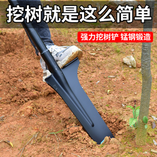 挖树铲锰钢加厚全钢钢锹挖树锹农用沟挖土挖坑铁锹铁铲大号