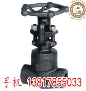 900LB～1500LB锻钢闸阀(焊接式阀盖) 100C蒸汽压闸阀DN20 25 50