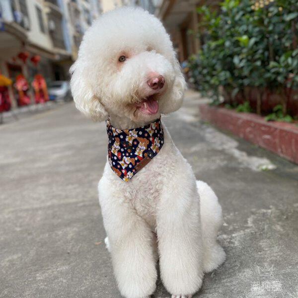中大型犬三角巾大狗口水兜巨贵围脖金毛拉多萨摩皮标三角巾多色