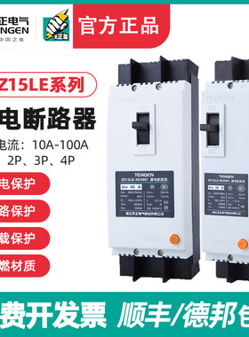 天正DZ15LE塑壳漏电断路器234P空气开关100A 40A 63A三相四线380V