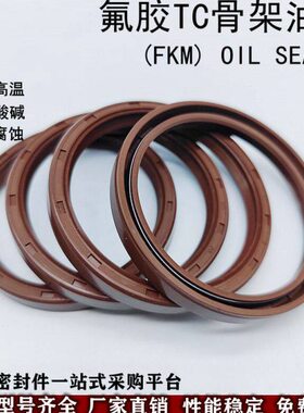 氟橡胶 氟胶骨架油封TC140*160/165/170/175/180*12/13/14/15/16