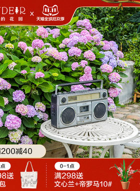 海蒂的花园无尽夏花手鞠大花绣球阳台庭院花卉植物盆栽苗