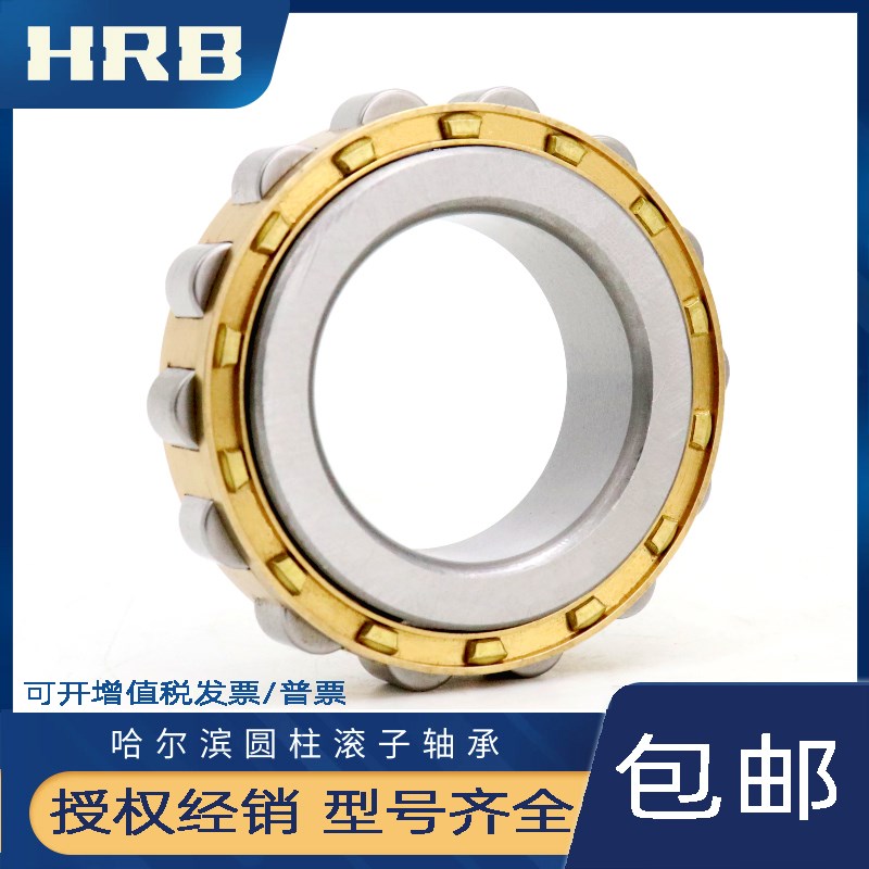 HRB减速机偏心轴承RN 204 205 206 307 309 207 208 312 219 222M