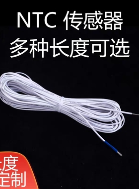 温度控制器 温控仪 智能数字电子温控仪 NTOC温度探头 温度传感器