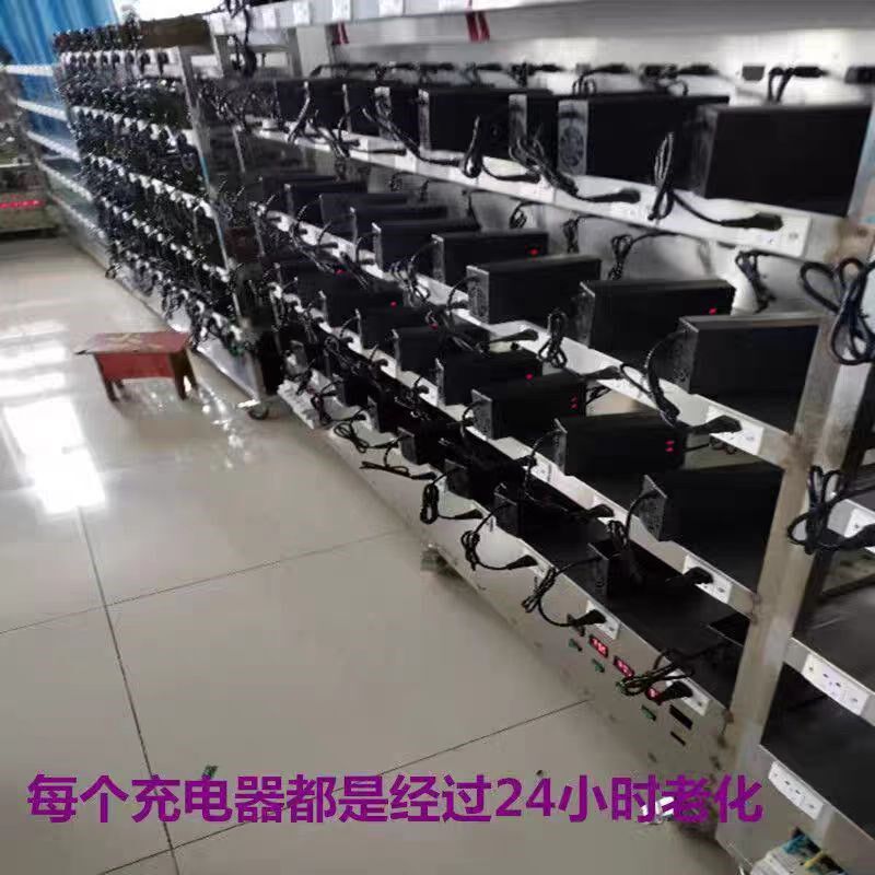 36V2A电动车锂电池充电器平衡滑板24V48V3A5A哈雷 代驾快充