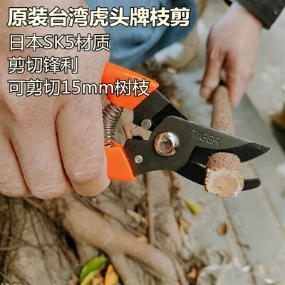 中国台湾TIFER虎头牌700花枝剪园艺粗枝剪修枝剪刀G-190长嘴摘果