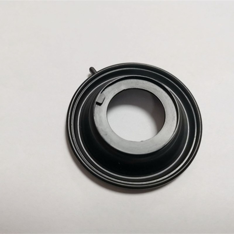 适用丽彩QS125T-2B韵彩QS100T-B睿彩QS1L25T-4B化油器真空膜柱吊