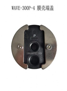 WaveCyber唯赛勃膜壳WAVE-300P-4 四寸玻璃钢膜壳端盖封头端盖