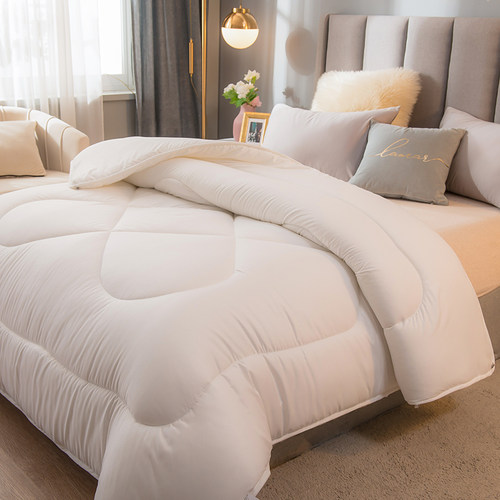 羽丝绒暖冬舒肤被冬被保暖纯色被芯加厚学生被子酒店春秋被芯